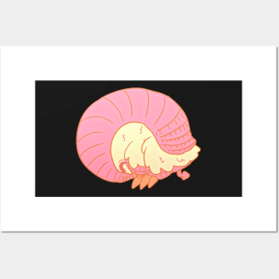 Pink Fairy Armadillo solo 2 Posters and Art